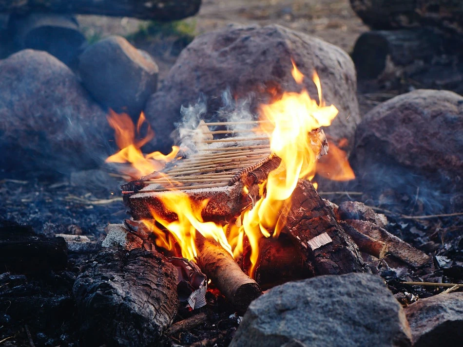 Casusgrill Miljøvennlig Engangsgrill - Bilde 8